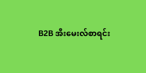 b2b အီးမေးလ်စာရင်း