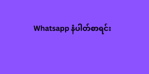 whatsapp နံပါတ်စာရင်း