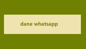 dane whatsapp