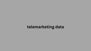 telemarketing data