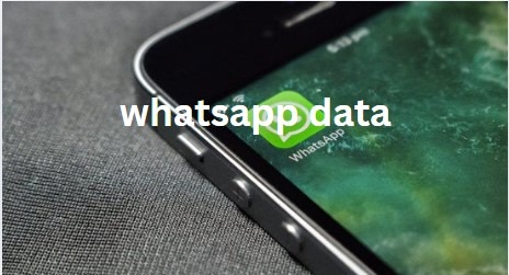 whatsapp data