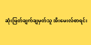 ဆုံးဖြတ်ချက်ချမှတ်သူ အီးမေးလ်စာရင်း